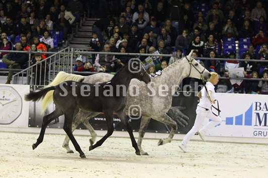 CA D ORO_MILANO_2010_SS3_3907.jpg